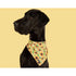 BIG & LITTLE DOGS BANDANA