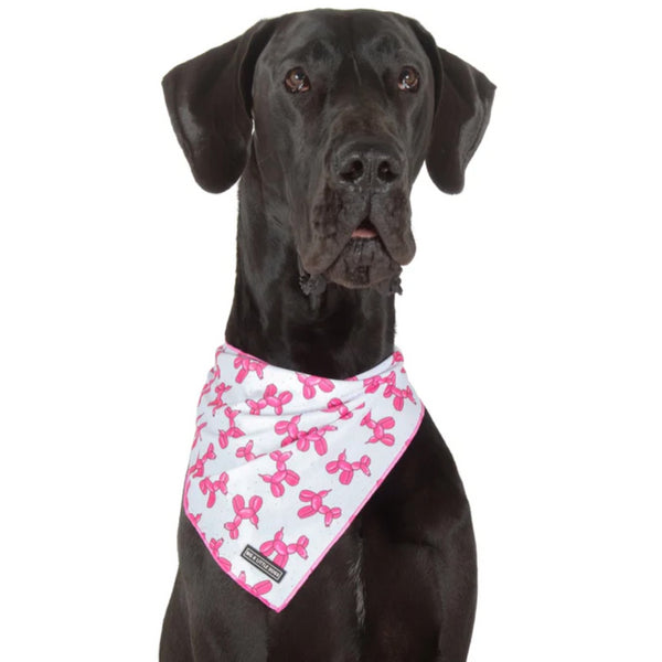 BIG & LITTLE DOGS BANDANA