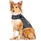 THUNDERSHIRT