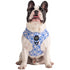 PABLO & CO. ADJUSTABLE HARNESS