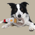 Country Tails ROPE RING Dog Toy
