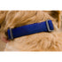 RUFFWEAR COLLAR FRONT RANGE