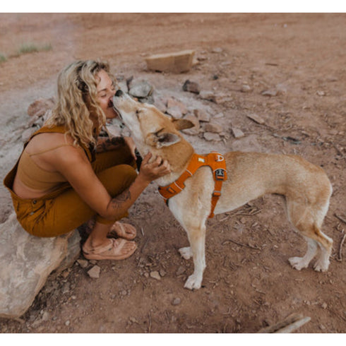 RUFFWEAR HARNESS FRONT RANGE
