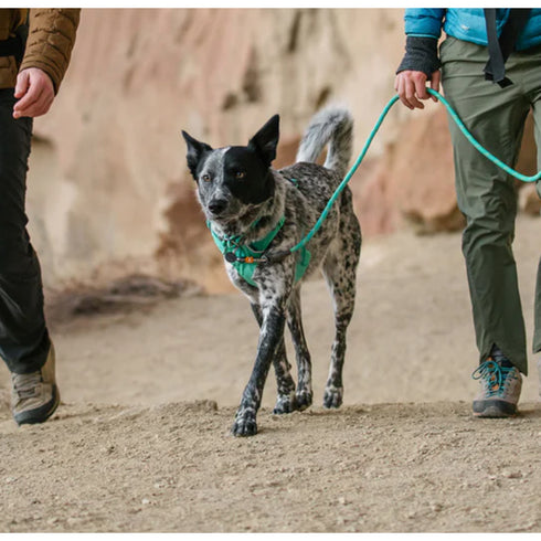 RUFFWEAR LEAD KNOT-A-LEASH