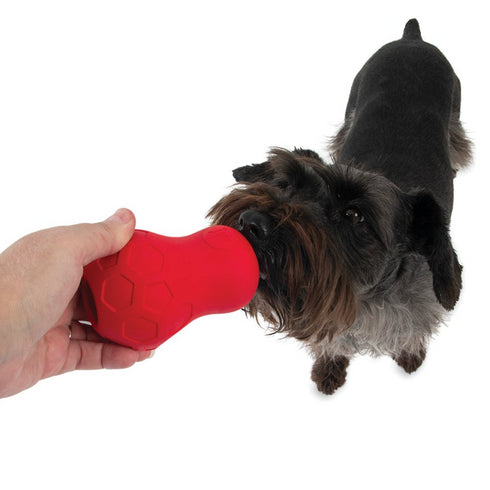 JW TUMBLE TEEZ TREAT TOY