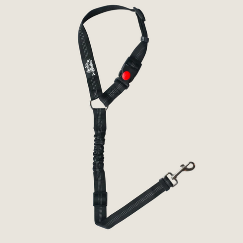 A black anti-shock bungee leash designed for securing pets in a car. The leash features a clip on one end and an adjustable strap with a safety button, ensuring a secure fit to the headrest or seat belt for safe travel.