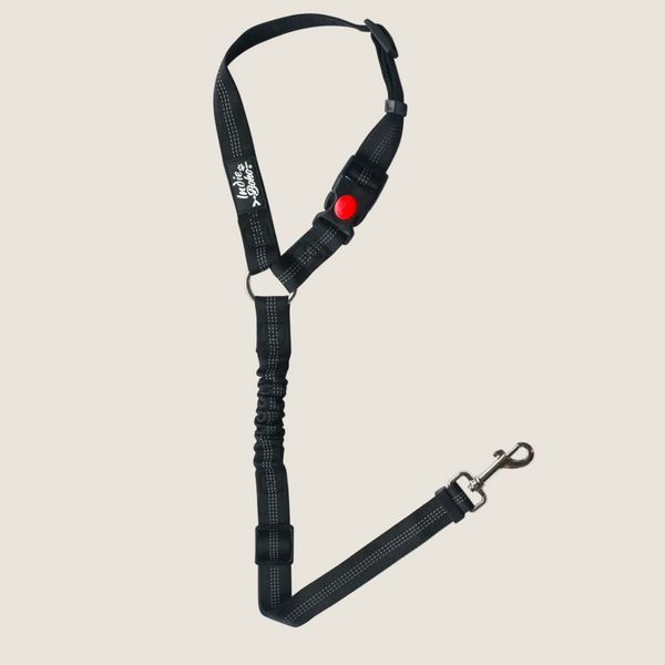 A black anti-shock bungee leash designed for securing pets in a car. The leash features a clip on one end and an adjustable strap with a safety button, ensuring a secure fit to the headrest or seat belt for safe travel.