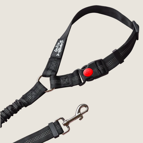 A black anti-shock bungee leash designed for securing pets in car seats, featuring a quick-release buckle and a sturdy clip at one end. The leash has reflective stitching for visibility and is suitable for use with travel mats.