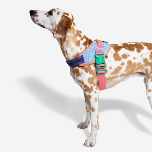 ZEE.DOG FLY HARNESS
