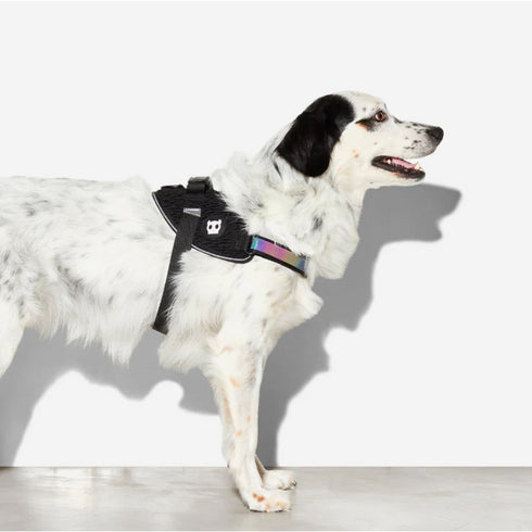 ZEE.DOG FLY HARNESS