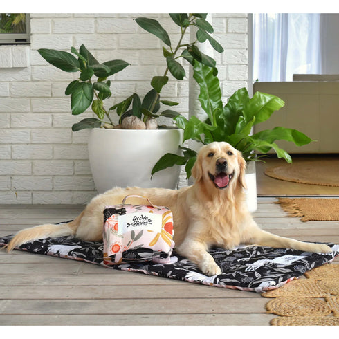 INDIE BOHO TRAVEL & TRAINING MAT