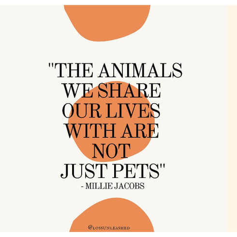 LOSS UNLEASHED ILLUSTRATED BOOK