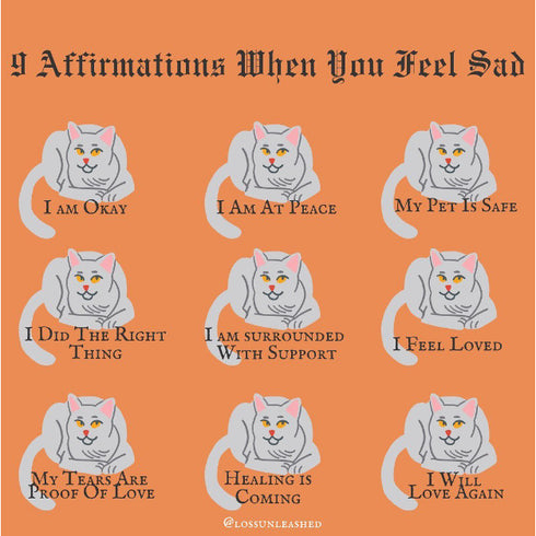 LOSS UNLEASHED ILLUSTRATED BOOK