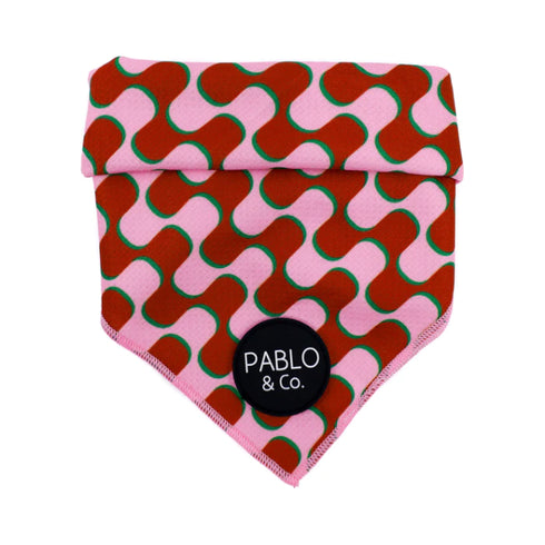 PABLO & CO. BANDANA