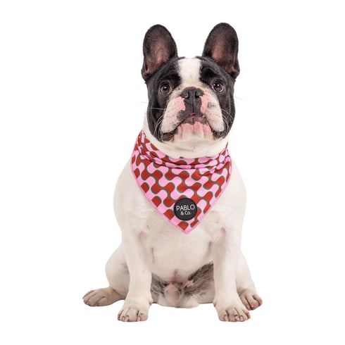 PABLO & CO. BANDANA