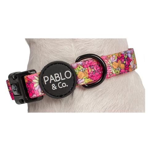 PABLO & CO. COLLAR