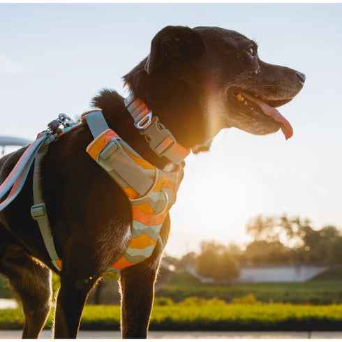 RUFFWEAR COLLAR NEW FRONT RANGE