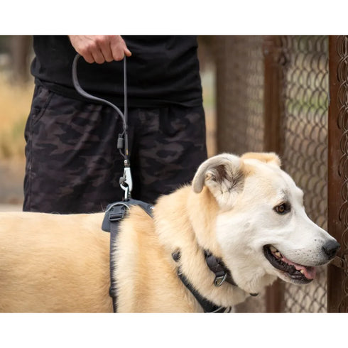 RUFFWEAR LEAD SHORT FRONT RANGE