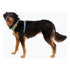 RUFFWEAR HARNESS NEW FRONT RANGE