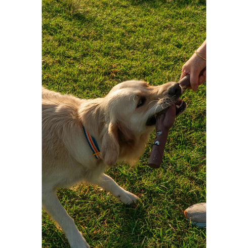 DOOG Stick Family New Uncle Chuck