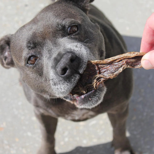 Biggie's ROO JERKY (125g)