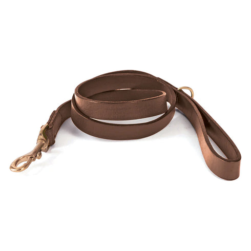 GEORGIE PAWS BALD LEAD