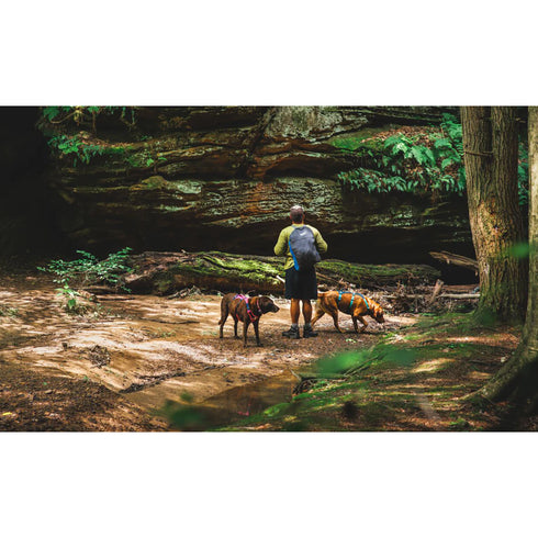 RUFFWEAR HARNESS NEW FLAGLINE