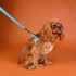 Outback Tails WAXED CANVAS Dog Harness - Blue