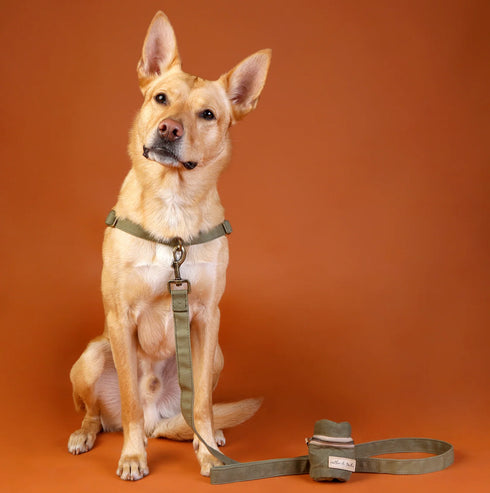 Outback Tails Waxed Canvas Dog Lead - Green