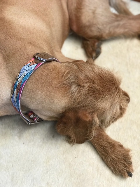 Outback Tails Leather Dog Collar - Sand Dunes