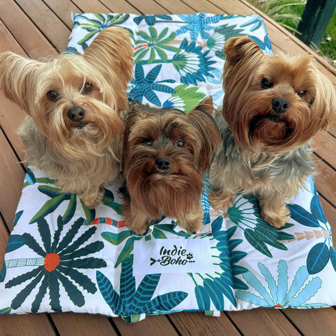 Three Yorkshire Terriers sit on a colorful travel mat featuring a tropical leaf pattern in vibrant greens, blues, and touches of orange. The mat is laid out on a wooden deck, creating a cozy spot for the dogs.