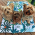 Three Yorkshire Terriers sit on a colorful travel mat featuring a tropical leaf pattern in vibrant greens, blues, and touches of orange. The mat is laid out on a wooden deck, creating a cozy spot for the dogs.