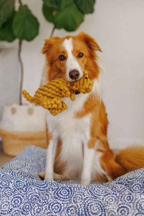 OUTBACK TAILS TOY KEZZA THE KANGAROO