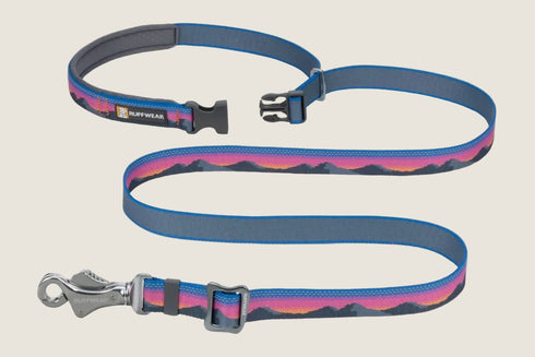 Dog leash with mountain design on a white background