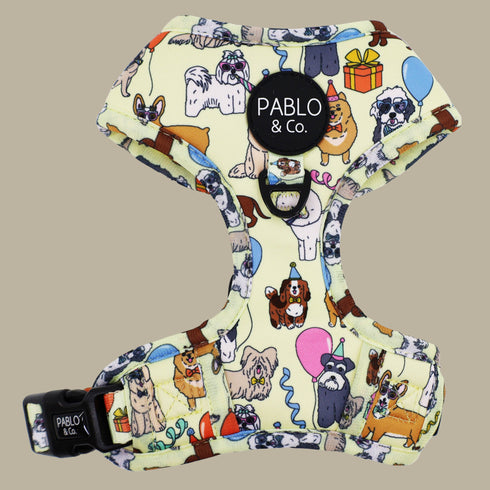 Pablo & Co. PARTY DAWGS Adjustable Dog Harness