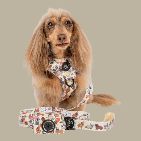 Pablo & Co. PARTY DAWGS Poop Bag Holder