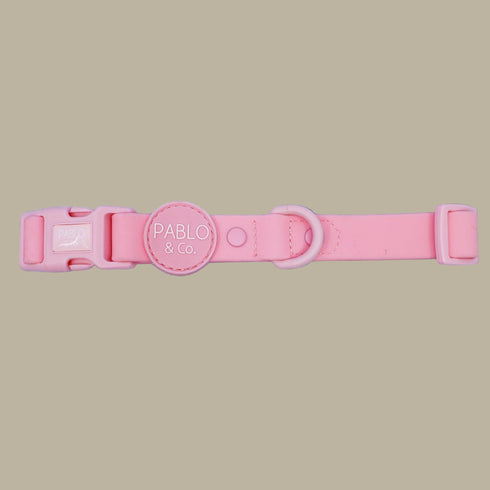 Pablo & Co. BUBBLEGUM Waterproof Collar