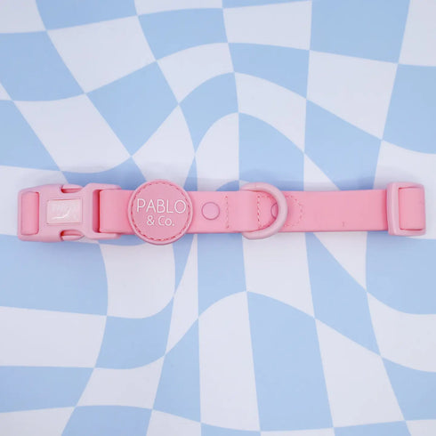 PABLO & CO. WATERPROOF COLLAR