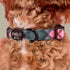 Pablo & Co. PATCH'S PLAID Dog Collar