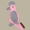 Outback Tails GERTIE GALLAH Dog Toy