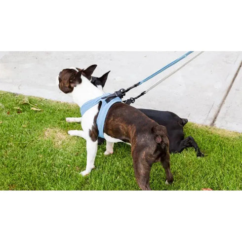 FUZZYARD LIFE STEP IN HARNESS