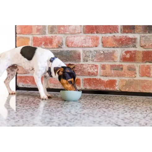 FUZZYARD LIFE SILICONE BOWL - MYRTLE GREEN