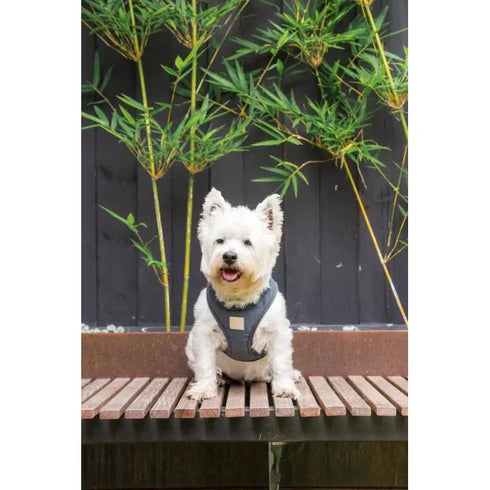 FUZZYARD LIFE CORDUROY STEP IN HARNESS