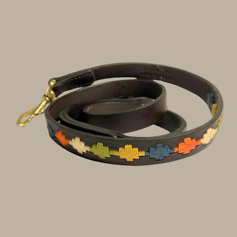 Georgie Paws ARVO POLO Lead