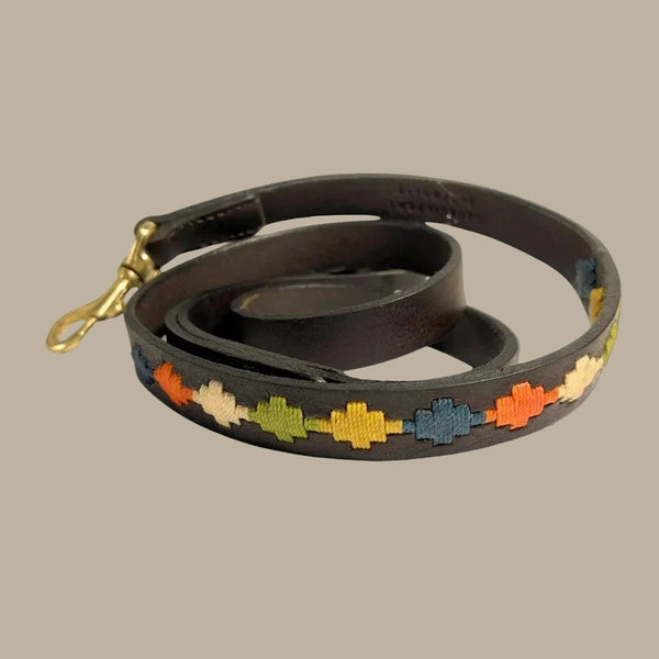 Georgie Paws ARVO POLO Lead