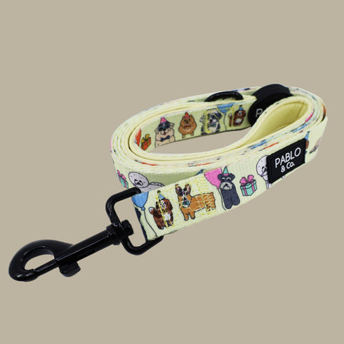 Pablo & Co. PARTY DAWGS Dog Leash