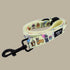 Pablo & Co. PARTY DAWGS Dog Leash