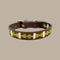 Georgie Paws LOKKI GREEN POLO Dog Collar