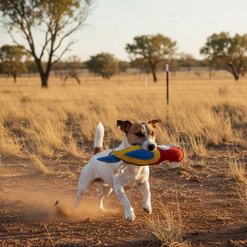 A playful dog runs through a dry, golden landscape, holding a colorful bird-shaped toy in its mouth. The background features sparse trees and a clear sky, capturing a sunny outdoor setting.