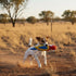 A playful dog runs through a dry, golden landscape, holding a colorful bird-shaped toy in its mouth. The background features sparse trees and a clear sky, capturing a sunny outdoor setting.
